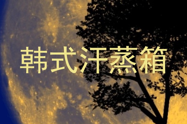韩式汗蒸箱