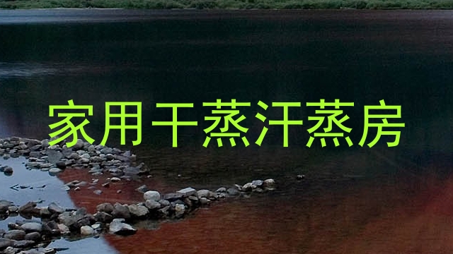 家用干蒸汗蒸房