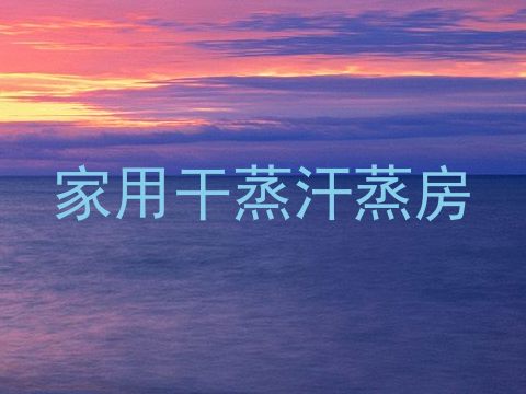 家用干蒸汗蒸房