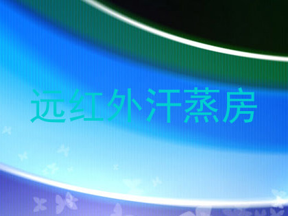 远红外汗蒸房