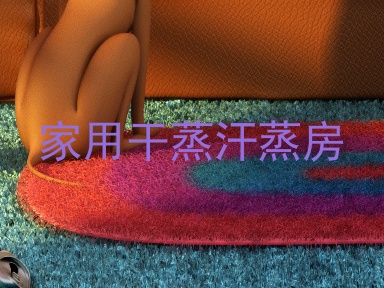 家用干蒸汗蒸房