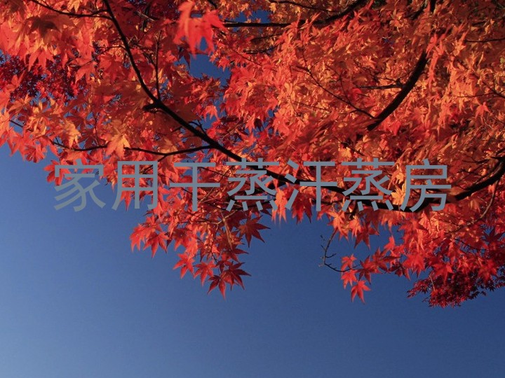 家用干蒸汗蒸房