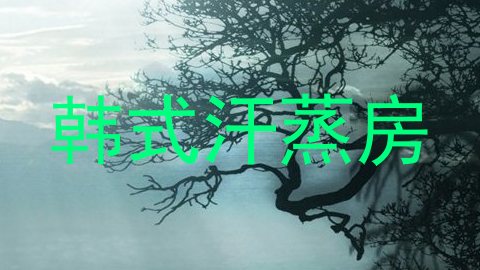 韩式汗蒸房