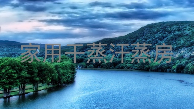 家用干蒸汗蒸房