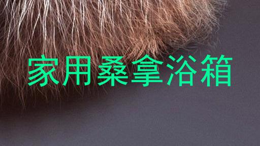 家用桑拿浴箱