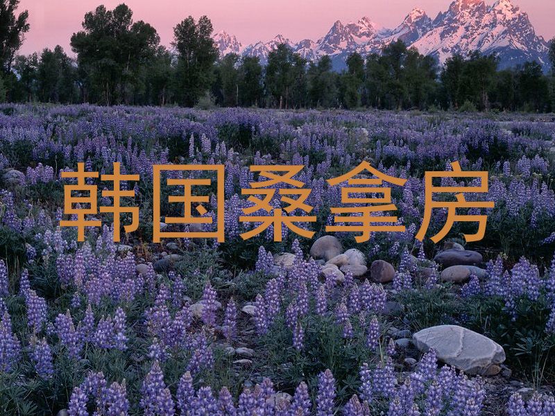 韩国桑拿房