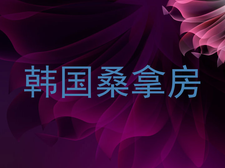韩国桑拿房
