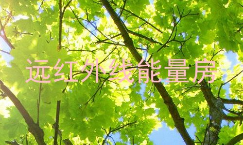 远红外线能量房