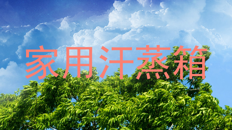 家用汗蒸箱