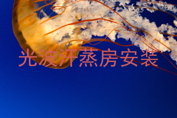 光波汗蒸房安装