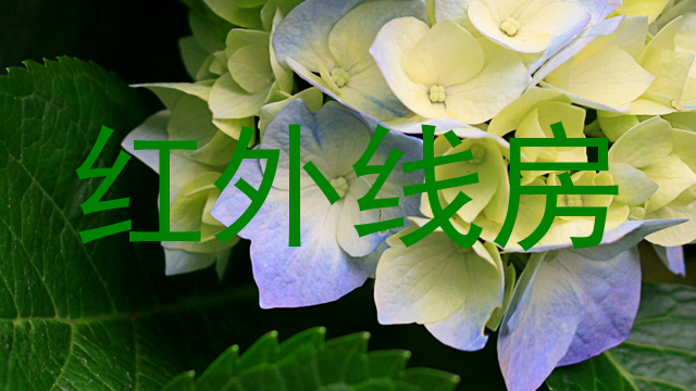 红外线房
