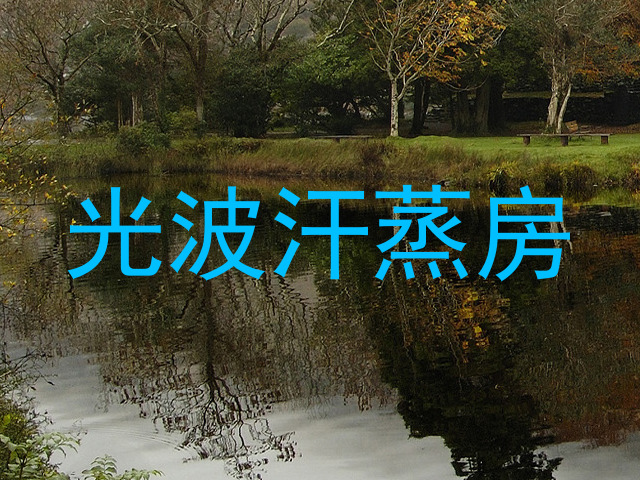 光波汗蒸房