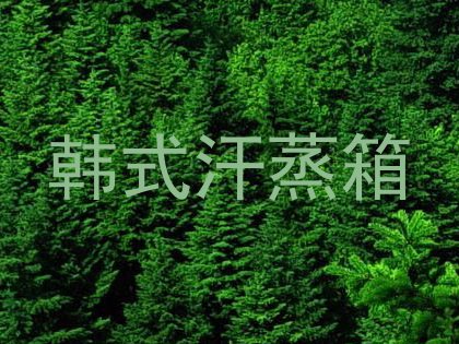 韩式汗蒸箱