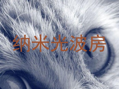纳米光波房