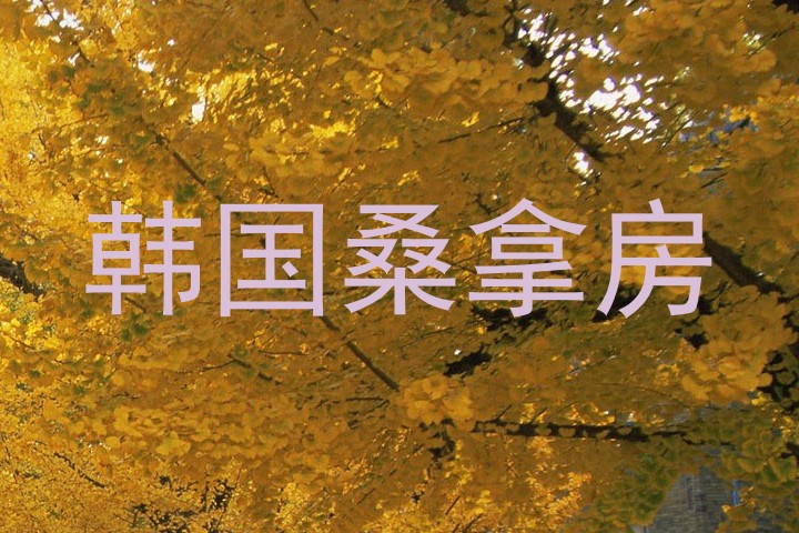 韩国桑拿房
