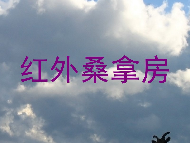 红外桑拿房