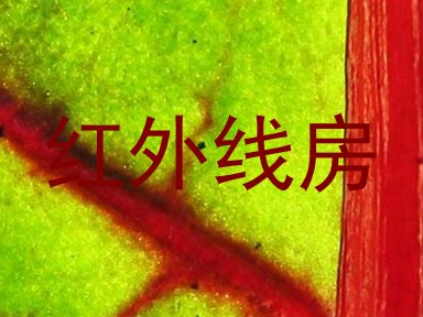 红外线房