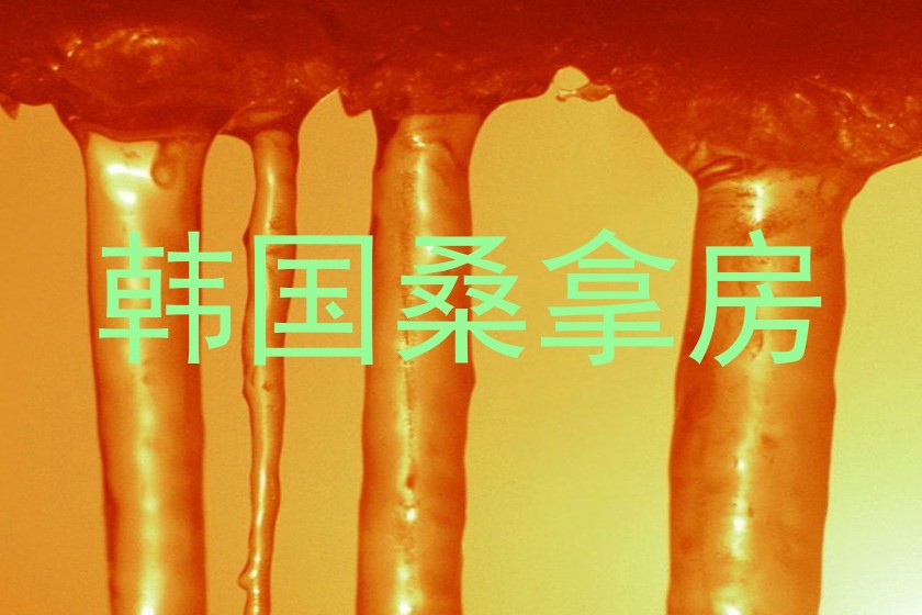 韩国桑拿房