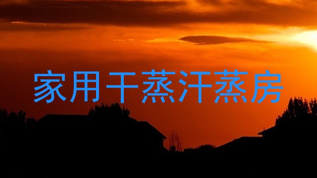 家用干蒸汗蒸房
