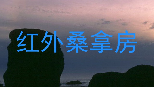 红外桑拿房