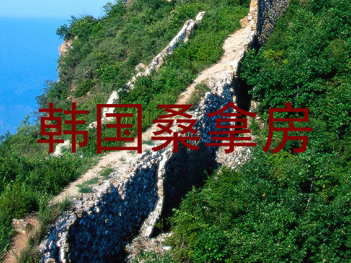 韩国桑拿房