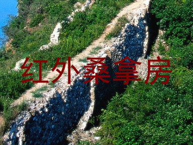 红外桑拿房