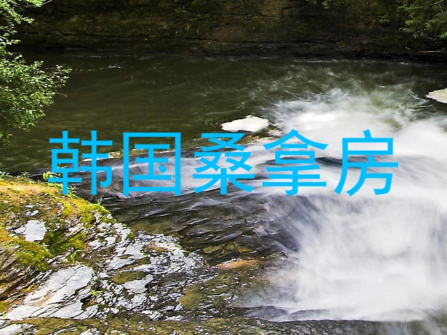韩国桑拿房