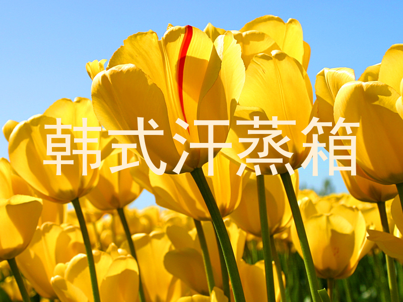 韩式汗蒸箱