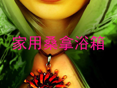 家用桑拿浴箱