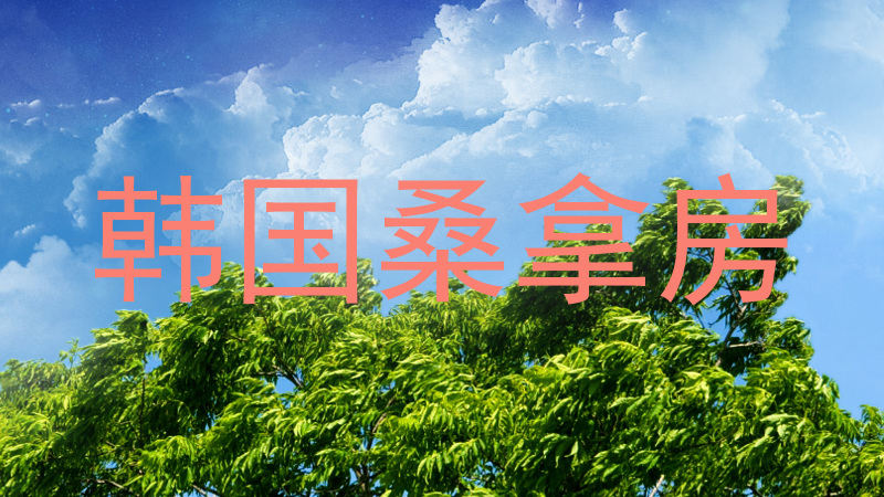 韩国桑拿房