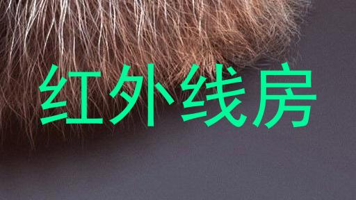 红外线房