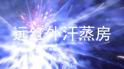 远红外汗蒸房