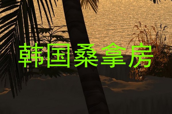 韩国桑拿房