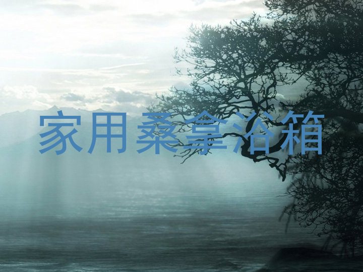 家用桑拿浴箱
