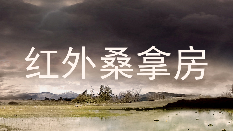 红外桑拿房