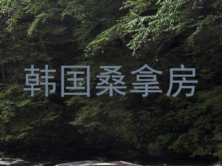 韩国桑拿房