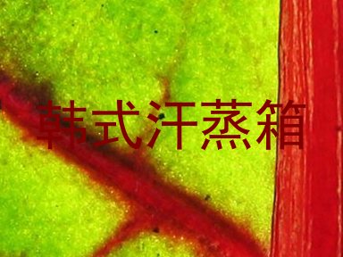 韩式汗蒸箱