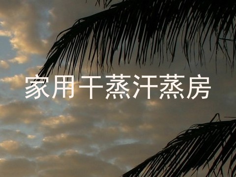 家用干蒸汗蒸房