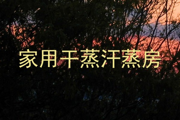家用干蒸汗蒸房