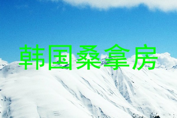 韩国桑拿房