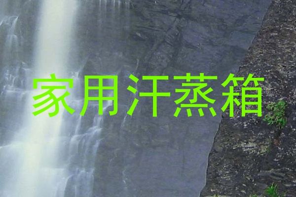 家用汗蒸箱