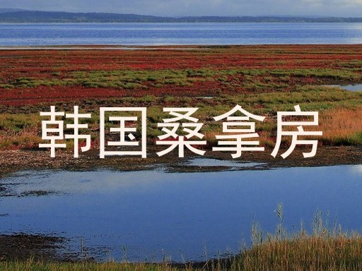 韩国桑拿房