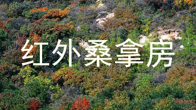 红外桑拿房