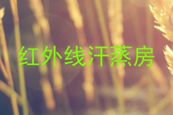 红外线汗蒸房