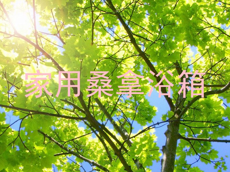 家用桑拿浴箱