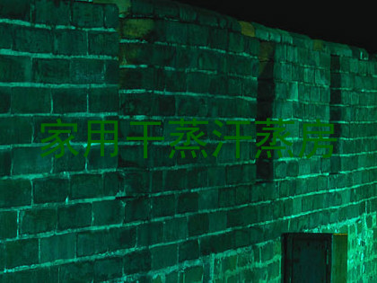 家用干蒸汗蒸房