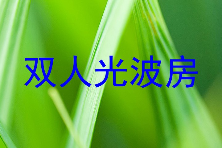 双人光波房