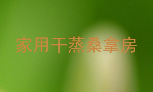 家用干蒸桑拿房