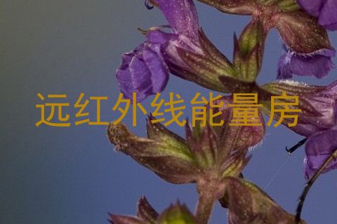 远红外线能量房