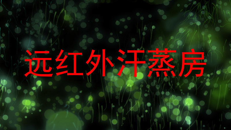 远红外汗蒸房